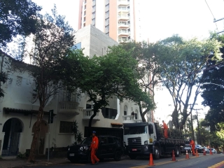Obra Realizada em Edith Blumenthal Obra Realizada em Edith Blumenthal