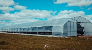 Obras Realizadas em El Mundo