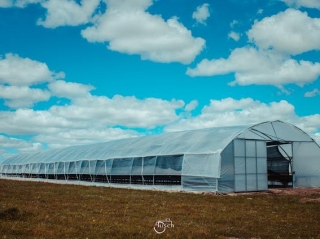 Obras Realizadas em El Mundo
